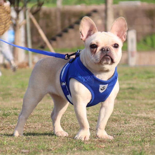 dog collars & leashes pet chest harnesses vest-style reflective breathable cat adjustable harness vest walking leash 
dog collars & leashes pet chest harnesses vest-style reflective breathable cat adjustable harness vest walking leash