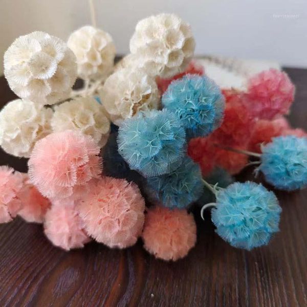 decorative flowers & wreaths 2.5-4cm head/25~30cm,10pcs real natural dried ball preserved pine worm fruits,eternal windmill fruit,home decor
decorative flowers & wreaths 2.5-4cm head/25~30cm,10pcs real natural dried ball preserved pine worm fruits,eternal windmill fruit,home decor