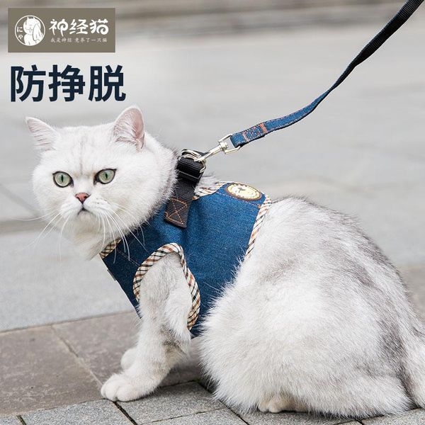 dog collars & leashes fashion cat kitten harness vest puppy anti-breaking chest quality small teddy collar pet supplies 60qy
dog collars & leashes fashion cat kitten harness vest puppy anti-breaking chest quality small teddy collar pet supplies 60qy