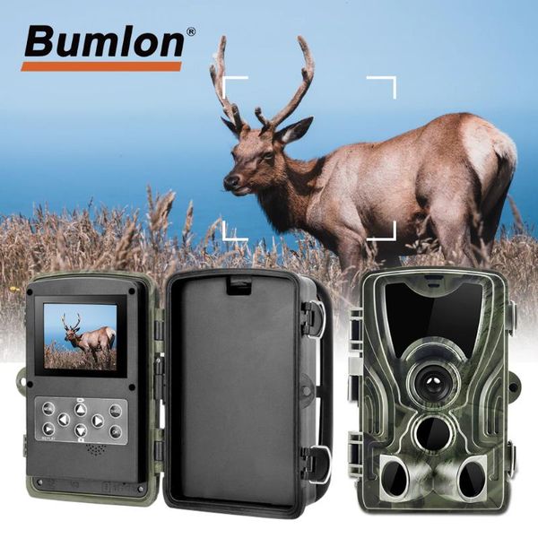 hunting cameras hc-801 upgraded version camera 0.2s no glow 24mp infrared night vision for wildcamera rl17-0004-c
hunting cameras hc-801 upgraded version camera 0.2s no glow 24mp infrared night vision for wildcamera rl17-0004-c