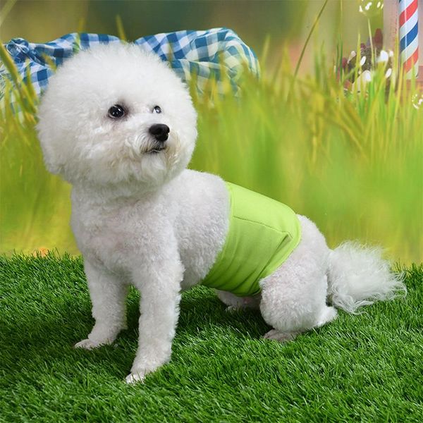 dog apparel reusable washable shorts doggie diapers for dogs durable comfortable stylish pet belly wrap female panties
dog apparel reusable washable shorts doggie diapers for dogs durable comfortable stylish pet belly wrap female panties