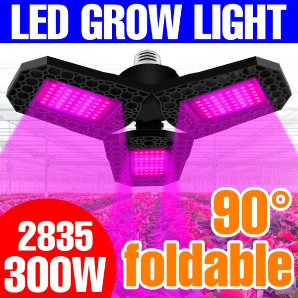 grow lights 220v phyto lamp led e27 full spectrum plants seeds lampara hydroponics panel bombilla growth tent bulb 110v 300w
grow lights 220v phyto lamp led e27 full spectrum plants seeds lampara hydroponics panel bombilla growth tent bulb 110v 300w