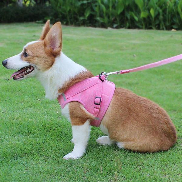 dog collars & leashes harness leash set puppy mesh vest walking lead dogs collar for small medium pet
dog collars & leashes harness leash set puppy mesh vest walking lead dogs collar for small medium pet