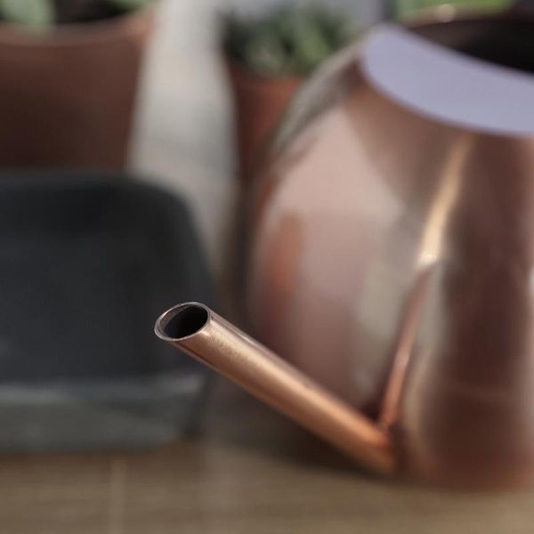 watering equipments 1l stainless steel can garden flower plants long mouth sprinkling pot t5eb
watering equipments 1l stainless steel can garden flower plants long mouth sprinkling pot t5eb