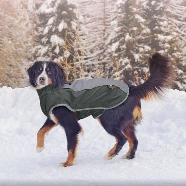 dog apparel pet vest jacket clothing winter windproof reflective clothes warm coat for dogs puppy outfits
dog apparel pet vest jacket clothing winter windproof reflective clothes warm coat for dogs puppy outfits
