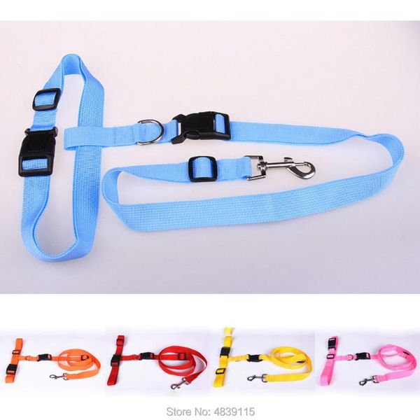 dog collars & leashes 10pcs/lot running pet hands walking jogging for small dogs
dog collars & leashes 10pcs/lot running pet hands walking jogging for small dogs