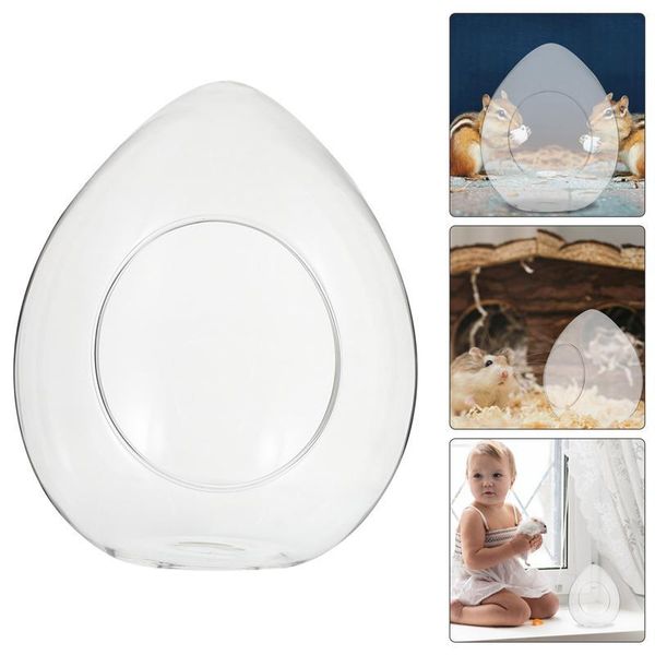 small animal supplies hamster glass nest transparent chinchilla guinea pig cooling bed house
small animal supplies hamster glass nest transparent chinchilla guinea pig cooling bed house