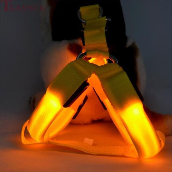 dog collars & leashes for drop led pet chest straps luminous adjustable safety light up nylon tag 80718
dog collars & leashes for drop led pet chest straps luminous adjustable safety light up nylon tag 80718