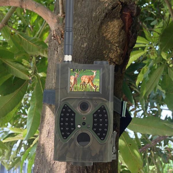 hunting camera 940nm video cameras gprs trail qildlife 12mp mms email 1080p hd wild dropship
hunting camera 940nm video cameras gprs trail qildlife 12mp mms email 1080p hd wild dropship