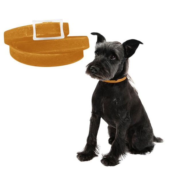 pet dog collar flexible flea and tick for dogs cat anti lice pest mosquitoes collars kill parasite k611 & leashes
pet dog collar flexible flea and tick for dogs cat anti lice pest mosquitoes collars kill parasite k611 & leashes