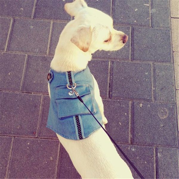 dog collars & leashes denim harness and leash jeans pet vest jacket for small puppy dogs teddy walking
dog collars & leashes denim harness and leash jeans pet vest jacket for small puppy dogs teddy walking