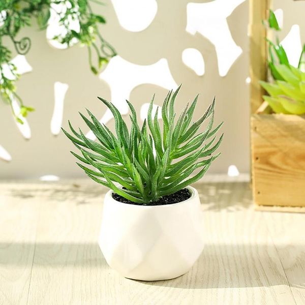 decorative flowers & wreaths with flower pot lightweight office shelf decoration faux succulents plant for coffee shop
decorative flowers & wreaths with flower pot lightweight office shelf decoration faux succulents plant for coffee shop