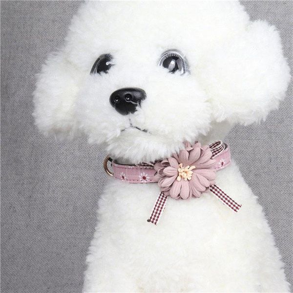 dog collars & leashes fabric flower leather collar pet cat bow tie lovely neck strap blue pink bowknot cute for small middle chihuahua teddy
dog collars & leashes fabric flower leather collar pet cat bow tie lovely neck strap blue pink bowknot cute for small middle chihuahua teddy