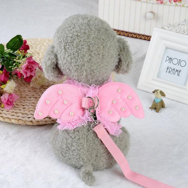 pet dog chest and back traction rope lace angel pearl style supplies collars & leashes
pet dog chest and back traction rope lace angel pearl style supplies collars & leashes