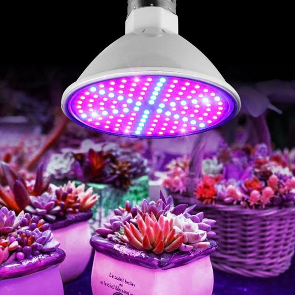 grow lights full spectrum led light for plant flower vegetable growing indoor greenhouse hydroponics lamp e27 bulb
grow lights full spectrum led light for plant flower vegetable growing indoor greenhouse hydroponics lamp e27 bulb