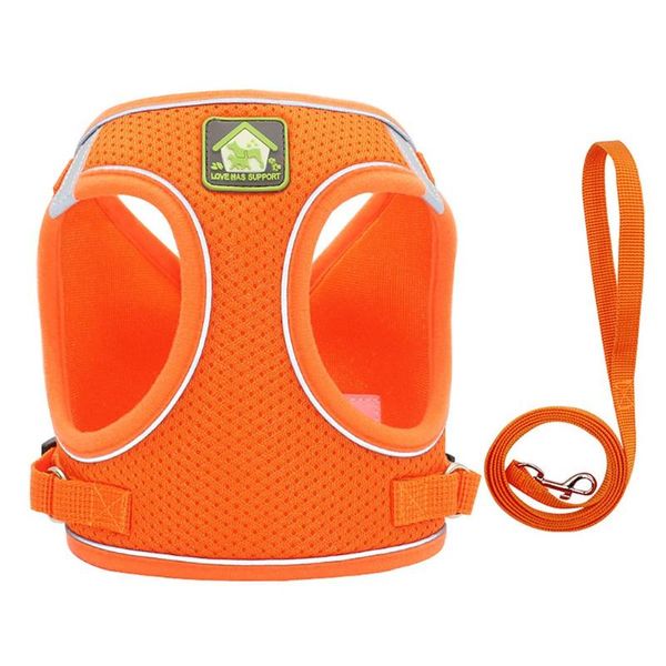 dog collars & leashes highquality nylon mesh cat harness reflective vest leash set for chihuahua pug small medium lead walking
dog collars & leashes highquality nylon mesh cat harness reflective vest leash set for chihuahua pug small medium lead walking