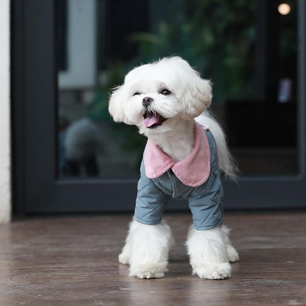 cat carriers,crates & houses soft puppy clothes short sleeve comfortable cozy t-shirt pets sweater neck cute small dog durable autumn winter
cat carriers,crates & houses soft puppy clothes short sleeve comfortable cozy t-shirt pets sweater neck cute small dog durable autumn winter