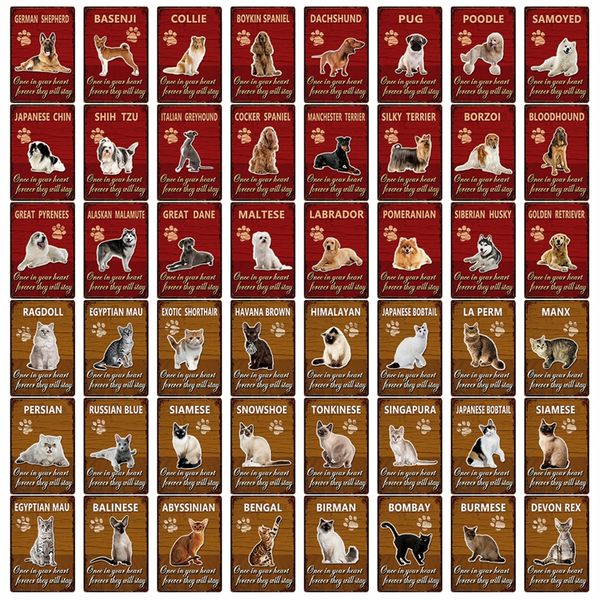 pet dog cat once in your heart forever they will stay tin vintage wall art decor iron painting sign dg-102 20x30 cm
pet dog cat once in your heart forever they will stay tin vintage wall art decor iron painting sign dg-102 20x30 cm
