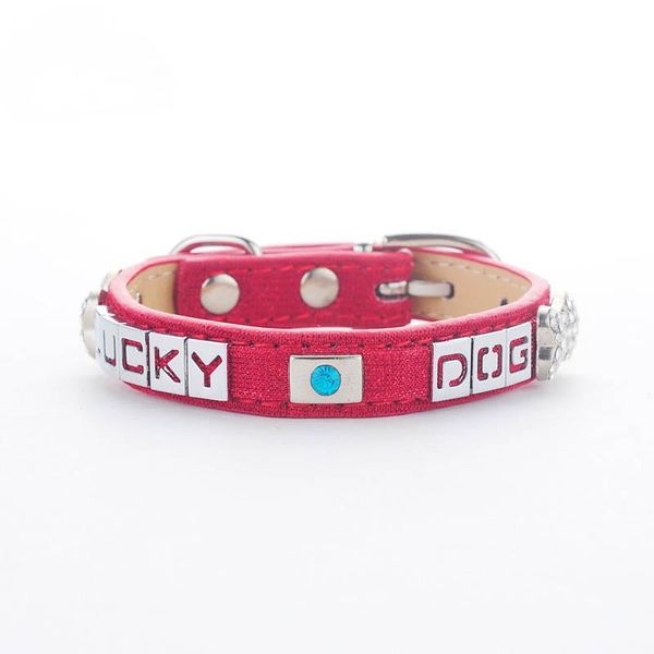"lucky dog" personalized dog collar sapphire leather puppy cat pet collars with rhinestone studed for small medium dogs & leashes
"lucky dog" personalized dog collar sapphire leather puppy cat pet collars with rhinestone studed for small medium dogs & leashes