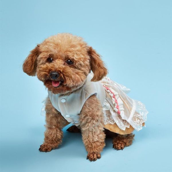 dog apparel pet wedding dress with ruffles rose decoration puppy floral embroidery lace dresses for summer xs/s/m/l/xl/xxl
dog apparel pet wedding dress with ruffles rose decoration puppy floral embroidery lace dresses for summer xs/s/m/l/xl/xxl