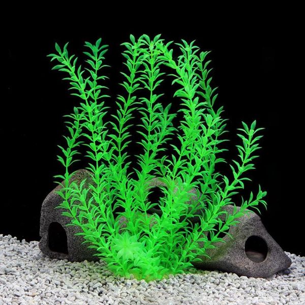 decorations fake water grass simulated vivid plastic no harm aquarium green artificial plants fish tank home accessories supplies
decorations fake water grass simulated vivid plastic no harm aquarium green artificial plants fish tank home accessories supplies