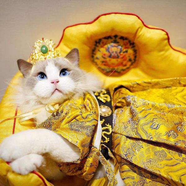 cat costumes pet dog chinese style hanfu clothes with dragon loong pattern imperial robe cosplay
cat costumes pet dog chinese style hanfu clothes with dragon loong pattern imperial robe cosplay