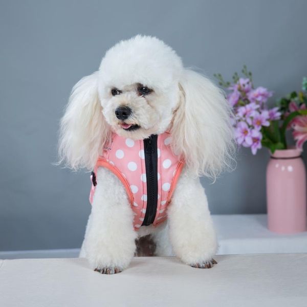 dog apparel 2 in 1 pet autumn winter skiing costume sleeveless cotton padded vest with durable chest strap harness
dog apparel 2 in 1 pet autumn winter skiing costume sleeveless cotton padded vest with durable chest strap harness