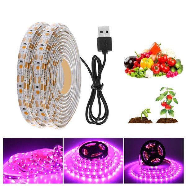 usb plant light with 5v growth 2835 lamp beads bar full spectrum led strips grow lights
usb plant light with 5v growth 2835 lamp beads bar full spectrum led strips grow lights