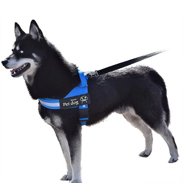 dog collars & leashes k9 chest strap dogs leash vest rope pet chain for labrador oxford cloth tenac supplier selling
dog collars & leashes k9 chest strap dogs leash vest rope pet chain for labrador oxford cloth tenac supplier selling