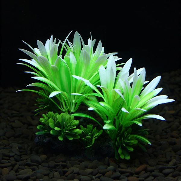 decorations aapet 1pc pe simulation aquatic plant aquarium decorative accessories artificial decoration ornament for fish tank
decorations aapet 1pc pe simulation aquatic plant aquarium decorative accessories artificial decoration ornament for fish tank