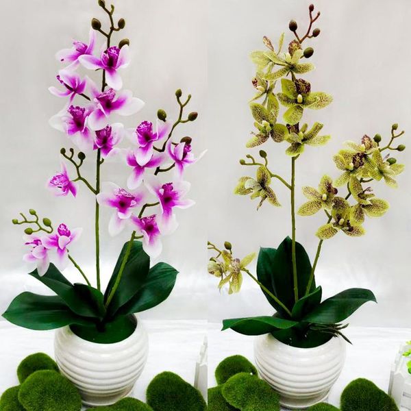 decorative flowers & wreaths 3 forks simulated elegant orchid floral wedding scene props 55cm 15 heads simulation home decoration
decorative flowers & wreaths 3 forks simulated elegant orchid floral wedding scene props 55cm 15 heads simulation home decoration