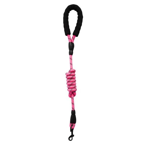 dog collars & leashes collar foam reflection pet nylon reflective round rope leash dogs premium quality night walking leading comfortable
dog collars & leashes collar foam reflection pet nylon reflective round rope leash dogs premium quality night walking leading comfortable