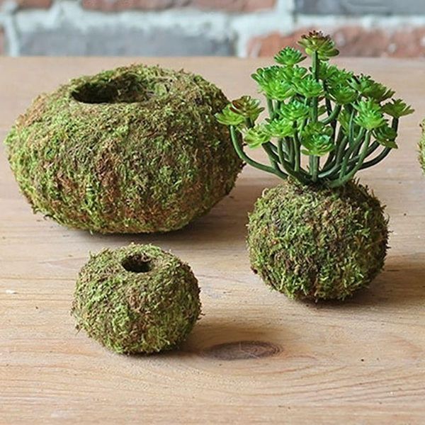 planters & pots moss ball pot bird nest flower plant home office desk table garden diy decoration
planters & pots moss ball pot bird nest flower plant home office desk table garden diy decoration