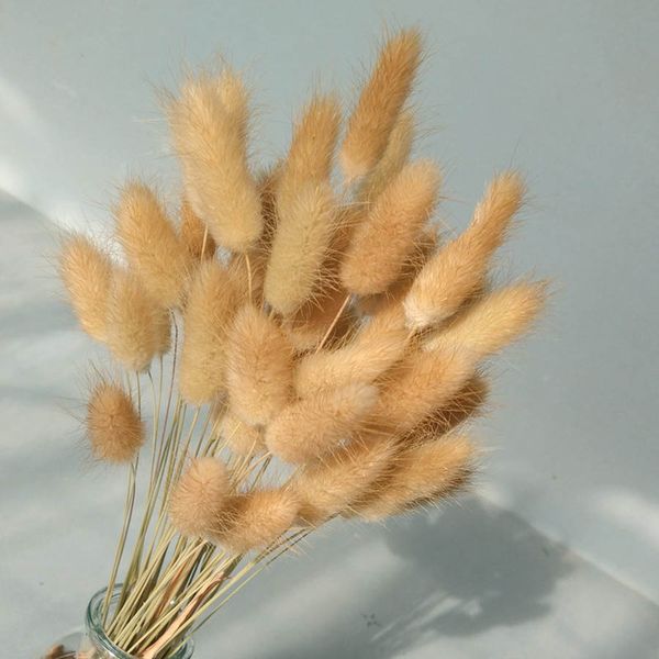 natural dried flowers rabbit tail grass wedding home easter decorations laytail flower lagurus ovatus accessories props pampas
natural dried flowers rabbit tail grass wedding home easter decorations laytail flower lagurus ovatus accessories props pampas