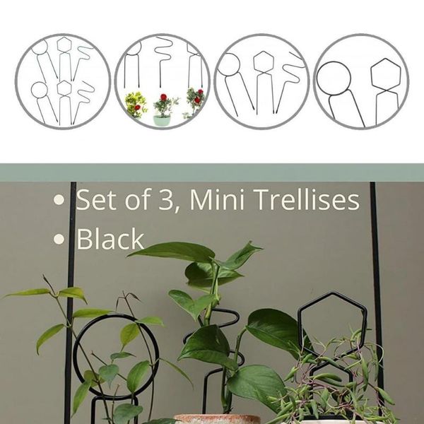 other garden supplies 3pcs/set simple durable protective climbing plant trellis tool portable anti-scratch for