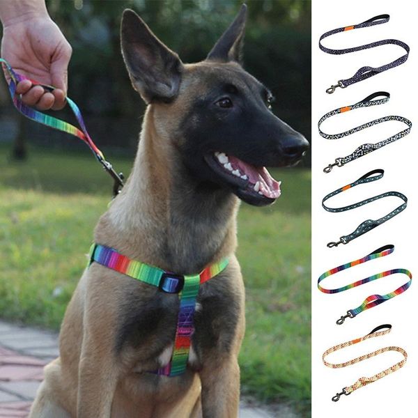 dog collars & leashes reflective lead leash double trickness running walking training collar for small medium large dogs
dog collars & leashes reflective lead leash double trickness running walking training collar for small medium large dogs