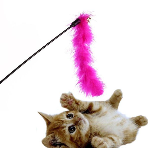 3pcs/lot pet cat kitten feather toys teaser wand turkey interactive rod toy color random
3pcs/lot pet cat kitten feather toys teaser wand turkey interactive rod toy color random