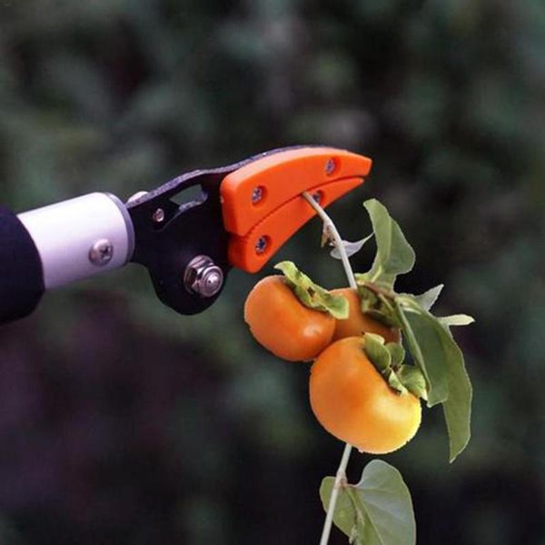 planters & pots fruit picker apple persimmon garden tool lopper tree trimmer branch cutter catcher device picking
planters & pots fruit picker apple persimmon garden tool lopper tree trimmer branch cutter catcher device picking