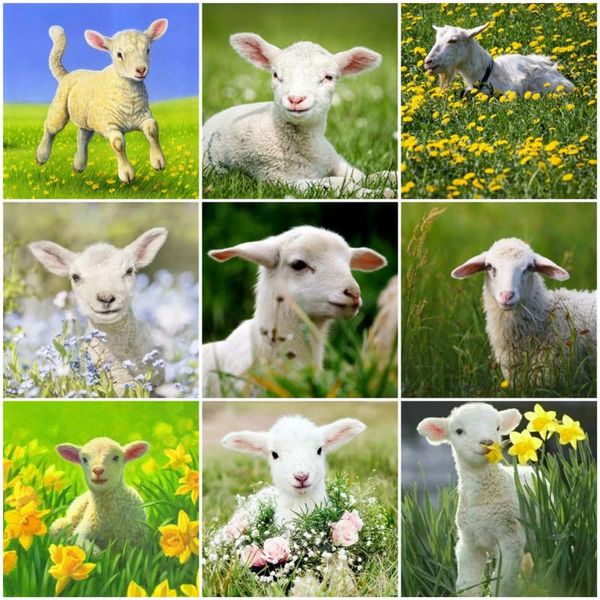 diamond painting huacan full drill animal sheep kits embroidery mosaic grassland cross stitch art
diamond painting huacan full drill animal sheep kits embroidery mosaic grassland cross stitch art