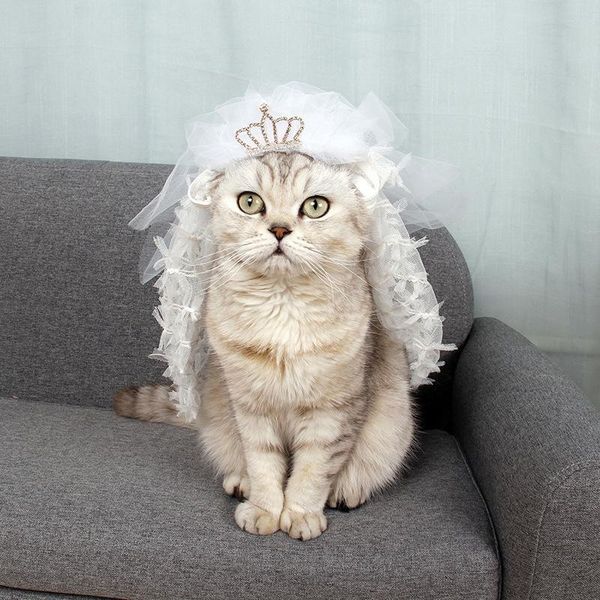 1pc 3 size white pet cat dog crown lace wedding headdress costume cosplay perform cloth party gift supplies costumes
1pc 3 size white pet cat dog crown lace wedding headdress costume cosplay perform cloth party gift supplies costumes
