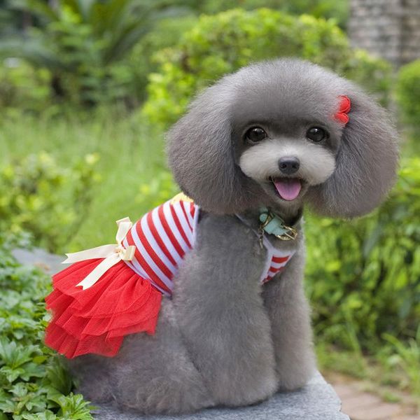 summer dog lace tullle dress pet pettiskirt princess striped bowknot tutudress puppy costume ud88 cat costumes
summer dog lace tullle dress pet pettiskirt princess striped bowknot tutudress puppy costume ud88 cat costumes