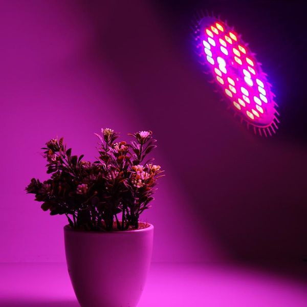 grow lights phyto lamp full spectrum led light plant for indoor seedlings flower tent box garden
grow lights phyto lamp full spectrum led light plant for indoor seedlings flower tent box garden