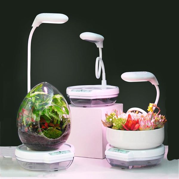 planters & pots 2021 phytolamp for plants led grow light hydroponics plant full spectrum phyto lamp indoor
planters & pots 2021 phytolamp for plants led grow light hydroponics plant full spectrum phyto lamp indoor