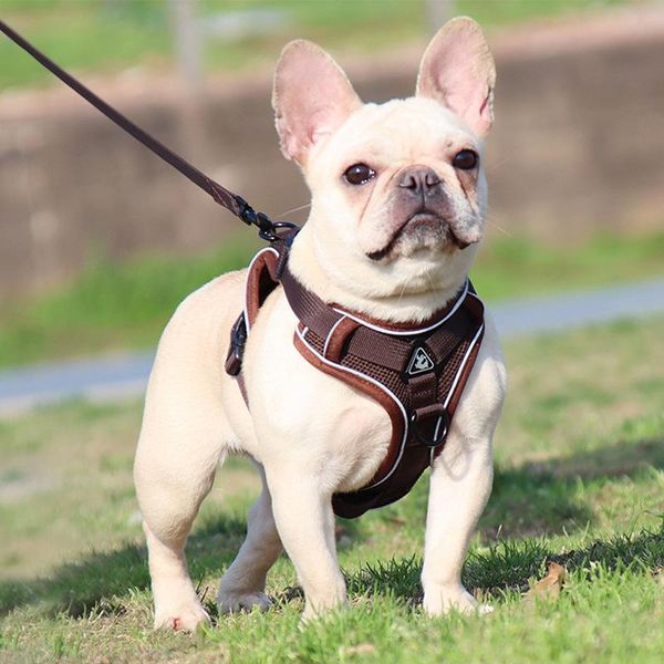 dog collars & leashes zoopeen pet traction rope vest style breathable chest harness night outdoor reflective safety for walking cats and
dog collars & leashes zoopeen pet traction rope vest style breathable chest harness night outdoor reflective safety for walking cats and
