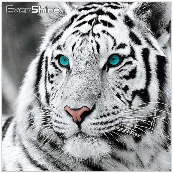 diamond painting evershine diy embroidery tiger cross stitch full square animal pictures of rhinestones home decoration
diamond painting evershine diy embroidery tiger cross stitch full square animal pictures of rhinestones home decoration