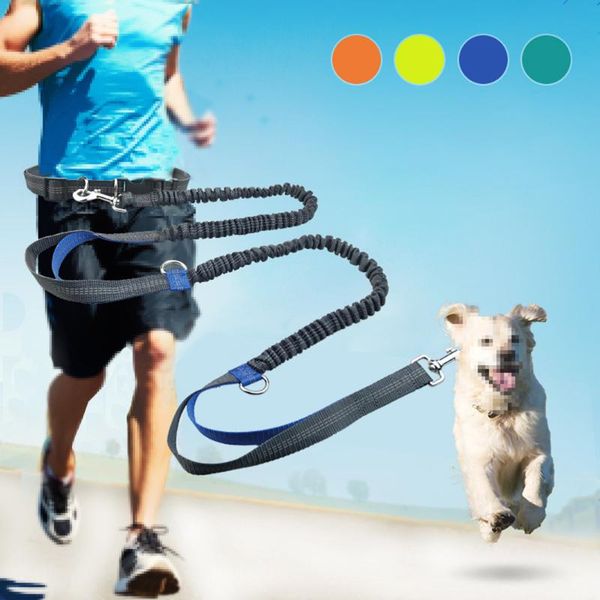 dog collars & leashes hands leash for running, walking, durable dual-handle retractable reflective leash, adjustable waist belt lead
dog collars & leashes hands leash for running, walking, durable dual-handle retractable reflective leash, adjustable waist belt lead