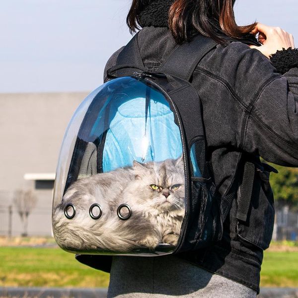 cat carriers,crates & houses pet carrier backpack breathable mesh transparent bag outdoor shoulder bags travel supplies for dog within 6kg
cat carriers,crates & houses pet carrier backpack breathable mesh transparent bag outdoor shoulder bags travel supplies for dog within 6kg