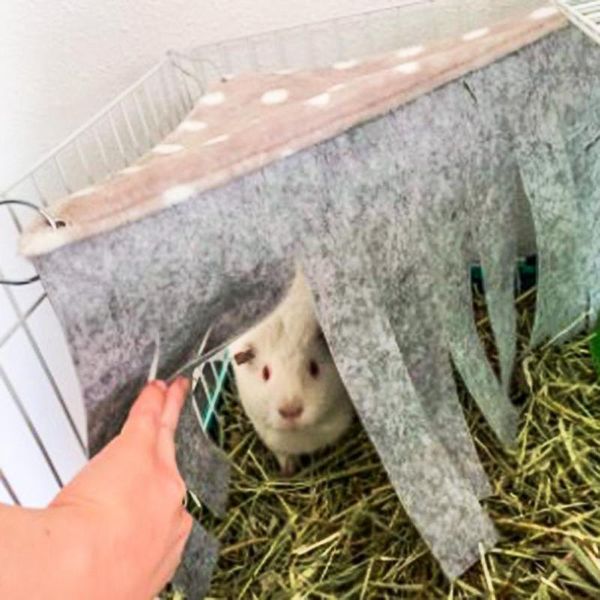 small animal supplies pet tent hamster dodge house tassel hammock corner nest accessories animals products 
small animal supplies pet tent hamster dodge house tassel hammock corner nest accessories animals products