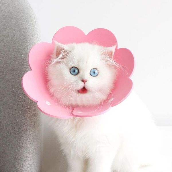 cat collars & leads protection anti licking 3pcs pet sunflower recovery collar soft sponge paper
cat collars & leads protection anti licking 3pcs pet sunflower recovery collar soft sponge paper