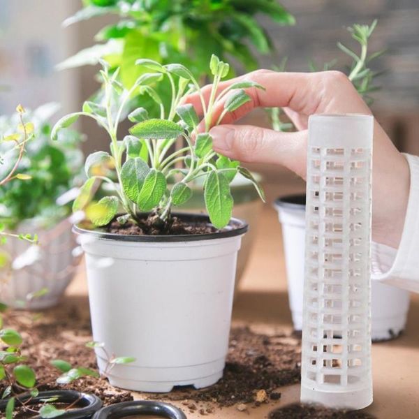 planters & pots climbing plant indoor support extension pole stick creepers moss gardening pillar accessories
planters & pots climbing plant indoor support extension pole stick creepers moss gardening pillar accessories